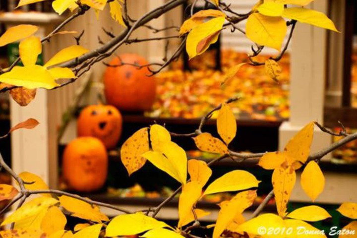 The Brunswick Inn - thumb 1