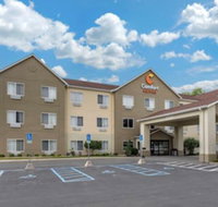 Comfort Suites Auburn near I-69 - Accommodation New York