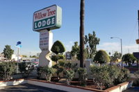 Willow Tree Lodge