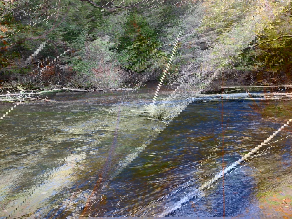 Cedar Ridge Cabins - thumb 2