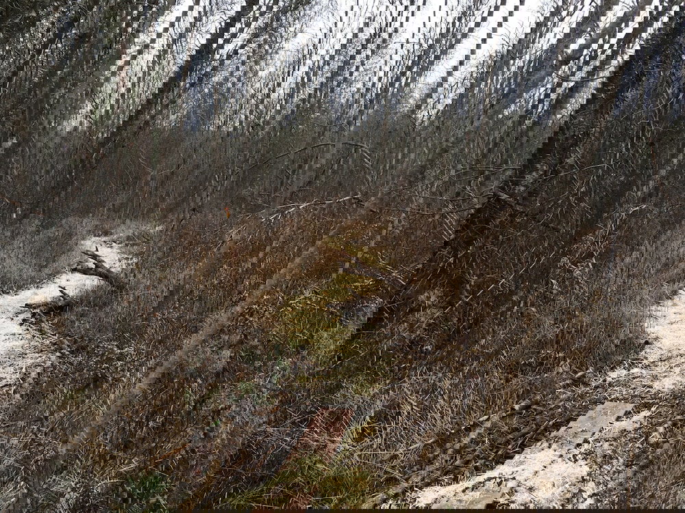 Cedar Ridge Cabins - thumb 1