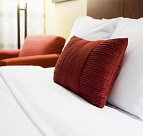 Edelweiss Lodge - Accommodation New York