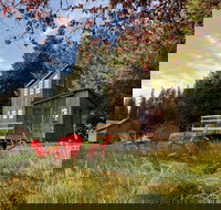 Clydesdale Outpost - Accommodation New York