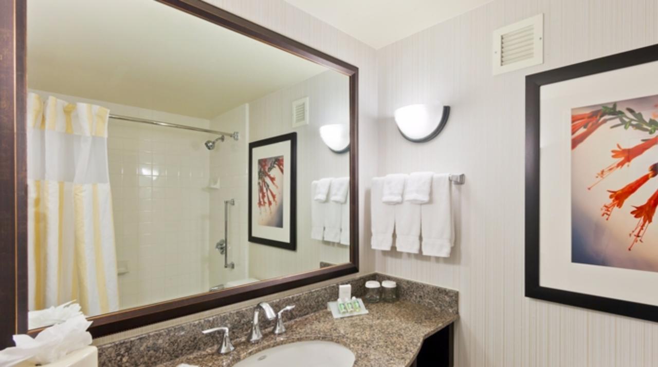 Hilton Garden Inn Atlanta Perimeter Center - thumb 18