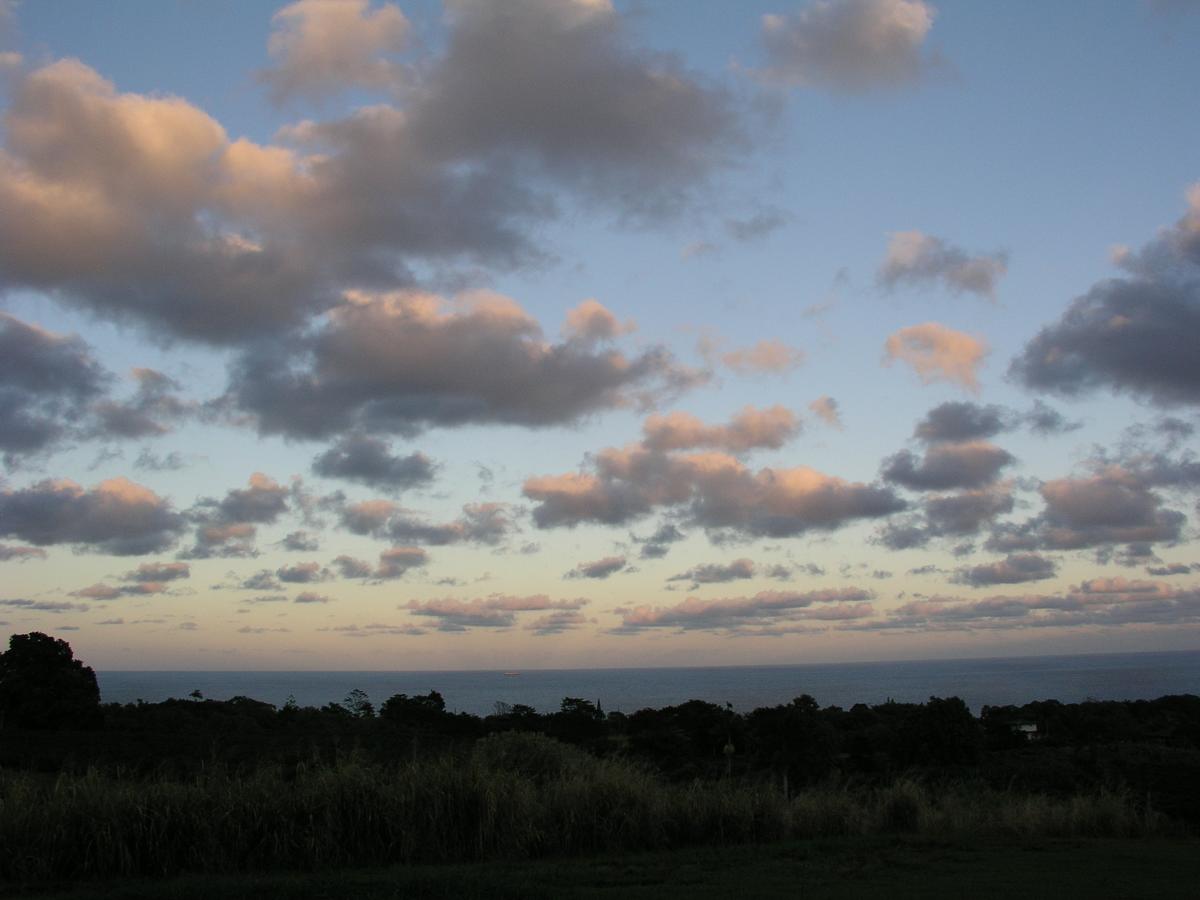 Puumoi Pink House And Sunrise Studio - thumb 18