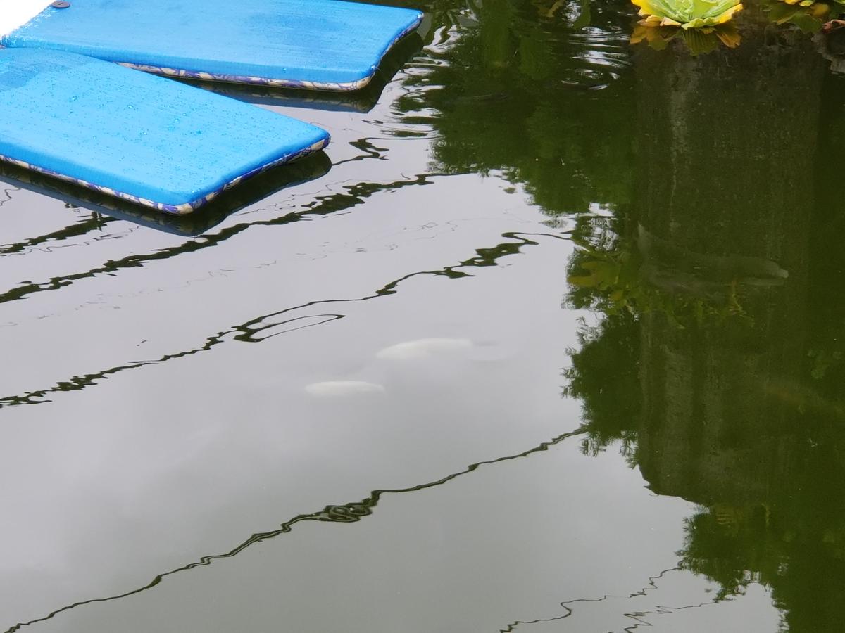 VALUSHA.s BEST - thumb 15