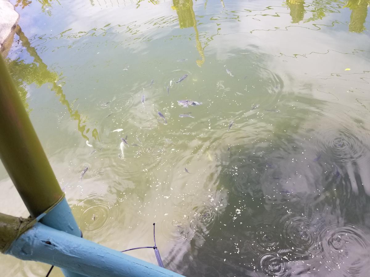 VALUSHA.s BEST - thumb 14