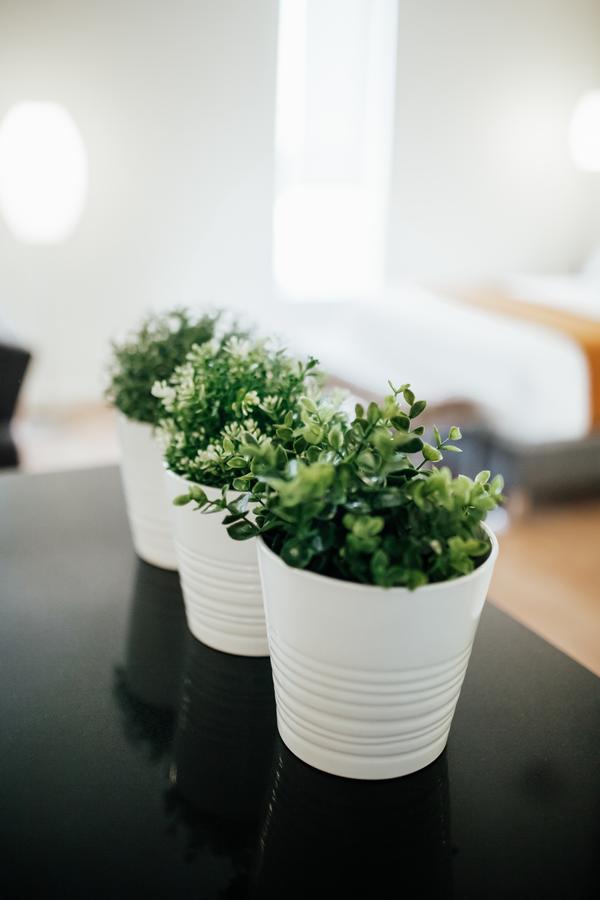 Modern Hotel And Apartments - thumb 5