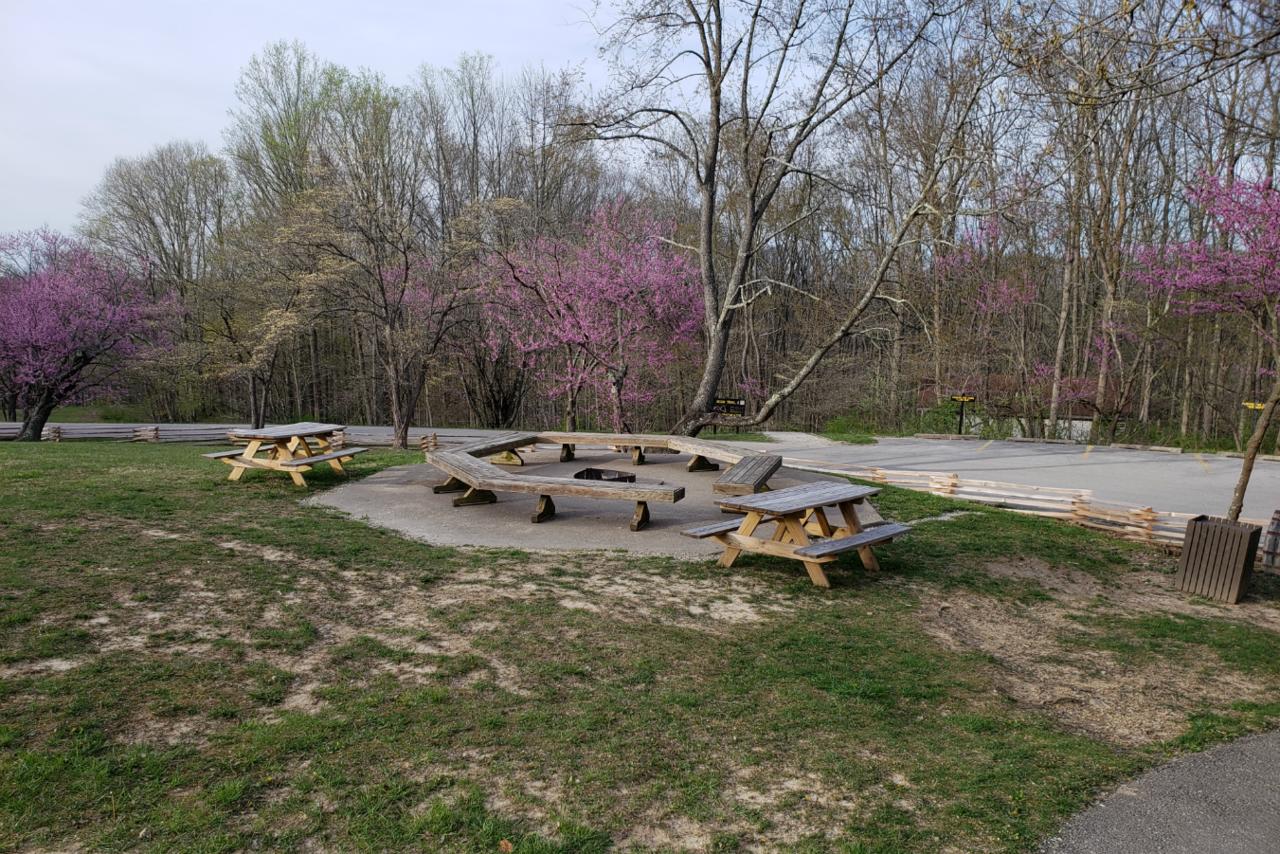 Abe Martin Lodge & Cabins - thumb 38