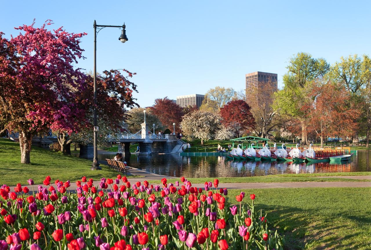 The Westin Copley Place, Boston - thumb 42