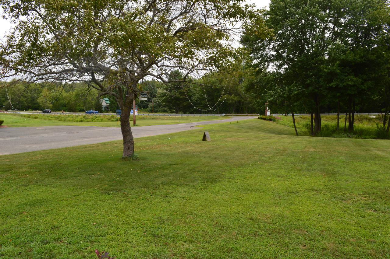 Copper Lantern Motor Lodge - thumb 18