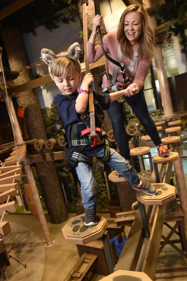 Great Wolf Lodge Bloomington - thumb 4