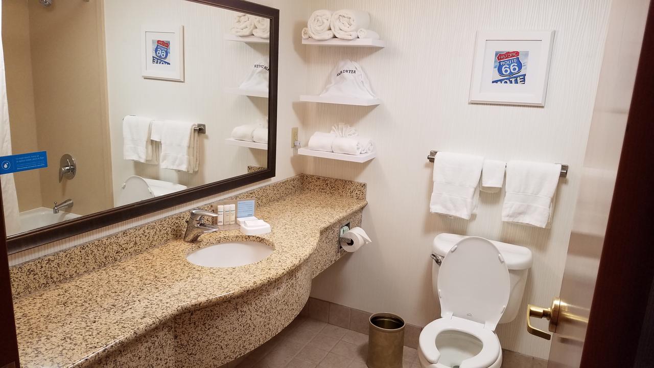 Hampton Inn St. Louis-Airport - thumb 19