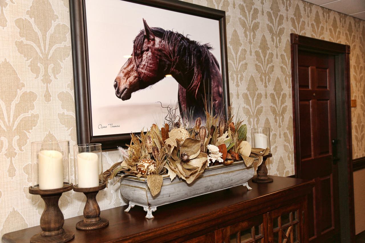 Arrow Hotel - thumb 29