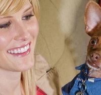 Home2 Suites By Hilton Omaha Un Medical Ctr Area - Accommodation New York