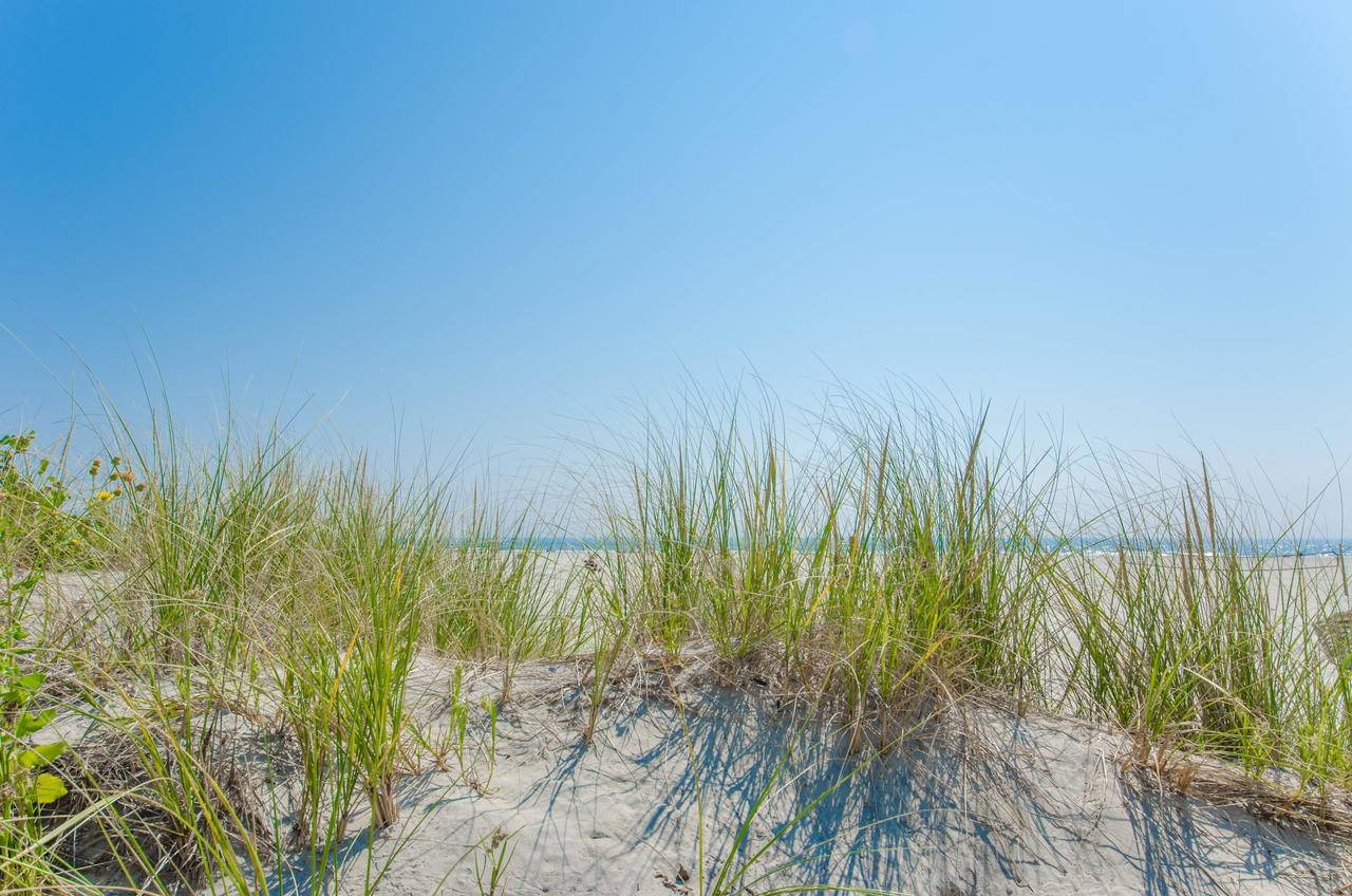 ICONA Diamond Beach - thumb 38