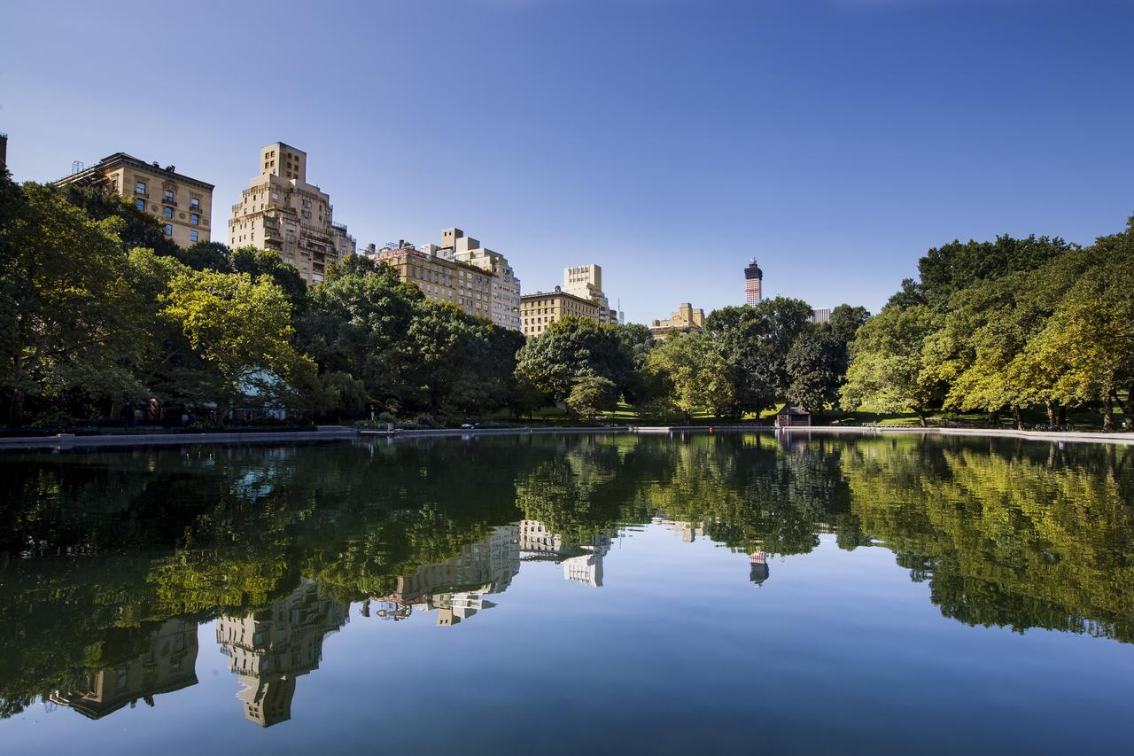 The Mark New York - thumb 35