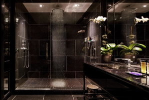 The Chatwal, A Luxury Collection Hotel, New York City