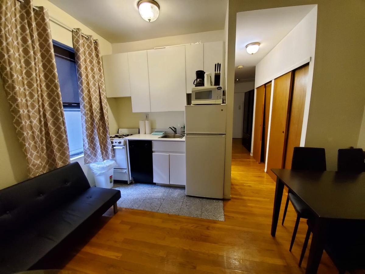 Midtown East Spacious Apartment - thumb 4