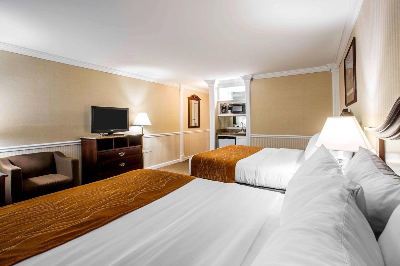 Comfort Inn & Suites Plattsburgh - Morrisonville - thumb 8
