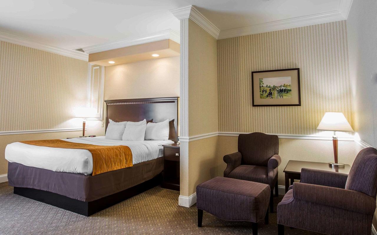 Comfort Inn & Suites Plattsburgh - Morrisonville - thumb 30