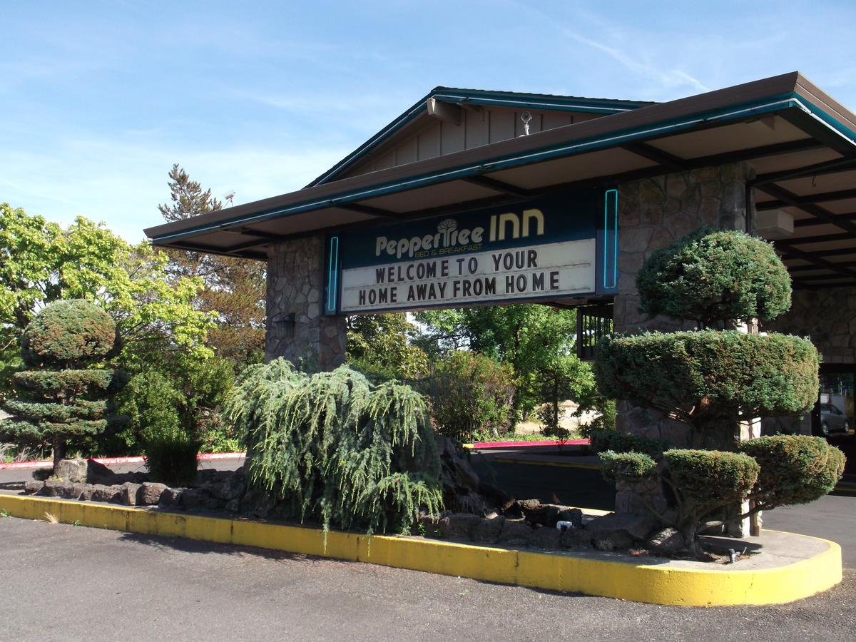 Pepper Tree Inn - thumb 32