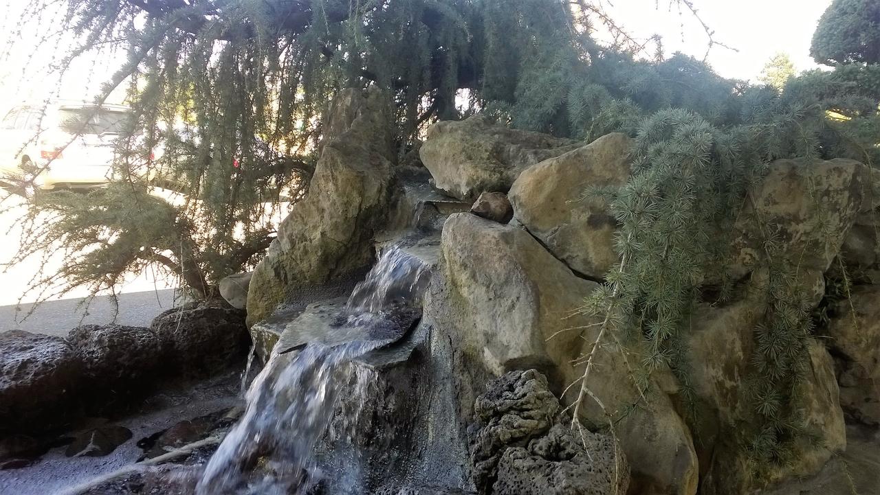 Pepper Tree Inn - thumb 43