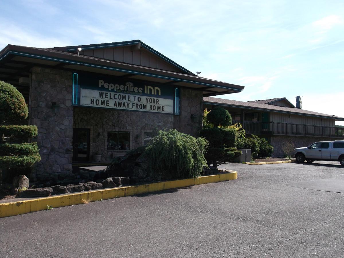 Pepper Tree Inn - thumb 35