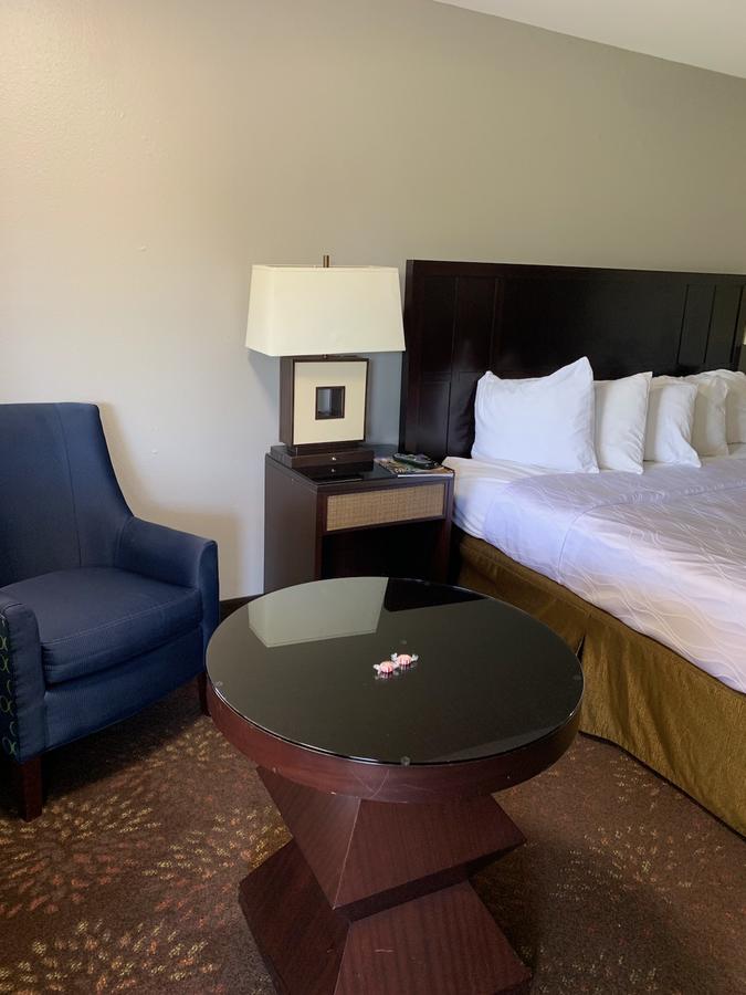 Pepper Tree Inn - thumb 7