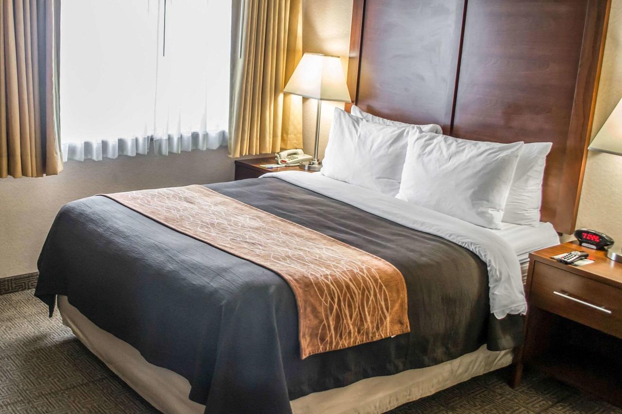 Comfort Inn & Suites Beaverton - Portland West - thumb 6