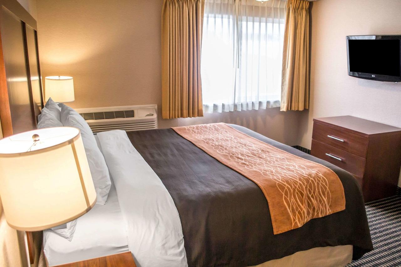 Comfort Inn & Suites Beaverton - Portland West - thumb 13
