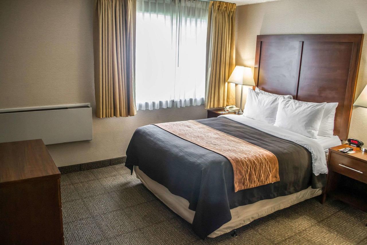 Comfort Inn & Suites Beaverton - Portland West - thumb 23