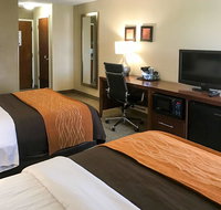 Comfort Inn Clemson - University Area - Accommodation New York