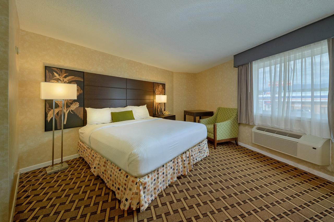 Vacation Lodge - thumb 8