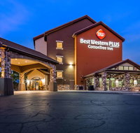 Best Western Plus Cotton Tree Inn - Accommodation New York