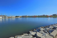 Booking Almena Accommodation New York