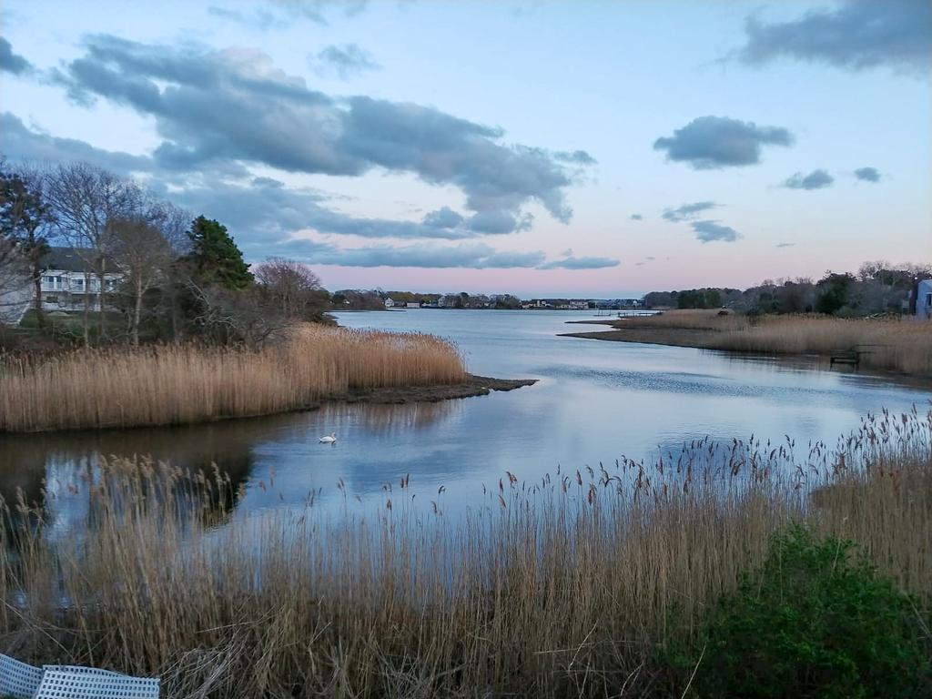 Cape Sands Inn - thumb 2