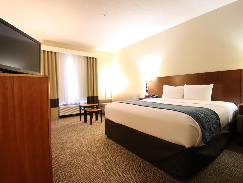 Comfort Inn & Suites North Dallas-Addison - thumb 2