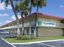 Flamingo Express Hotel