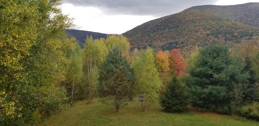 Hunter Mt Amazing Views! Near Ski Slopes! Beautiful Catskills! - thumb 1