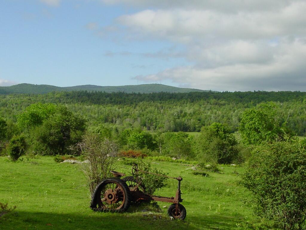 Tentrr Signature - Darnit Brook - thumb 1