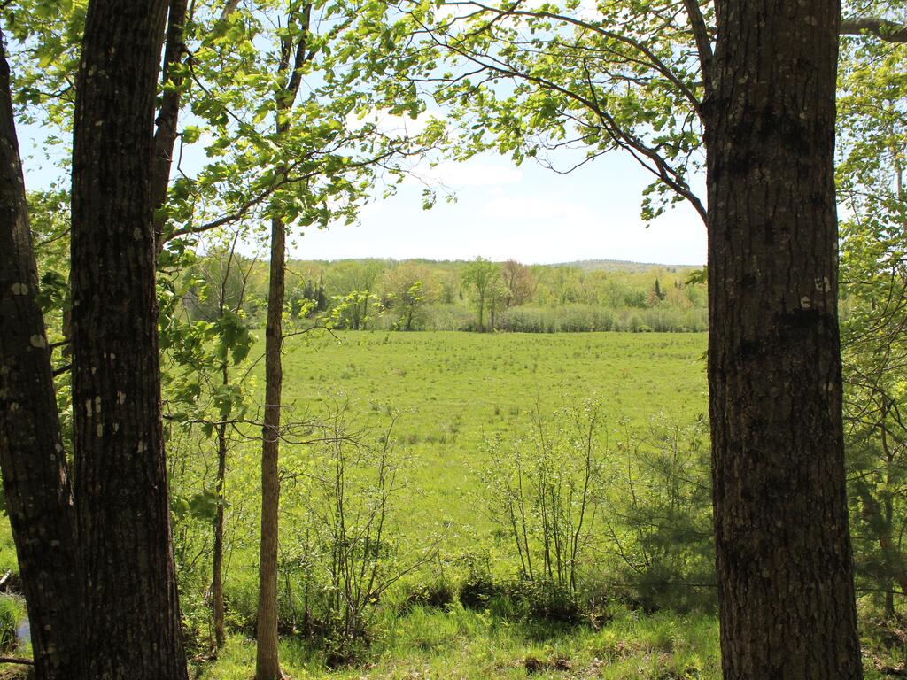 Tentrr Signature - Darnit Brook - thumb 3