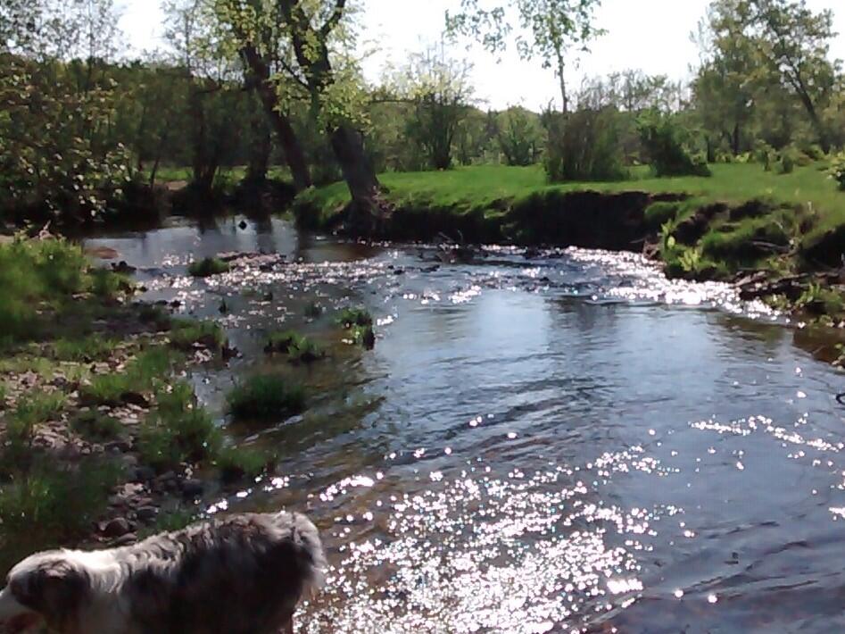 Tentrr Signature - Darnit Brook - thumb 2