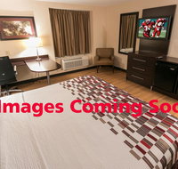 Red Roof Inn PLUS Tuscaloosa - University - Accommodation New York
