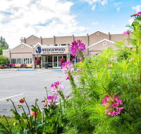 Wedgewood Resort - Accommodation New York