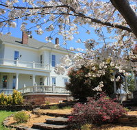 Spring Street Inn Hot Springs National Park - Accommodation New York