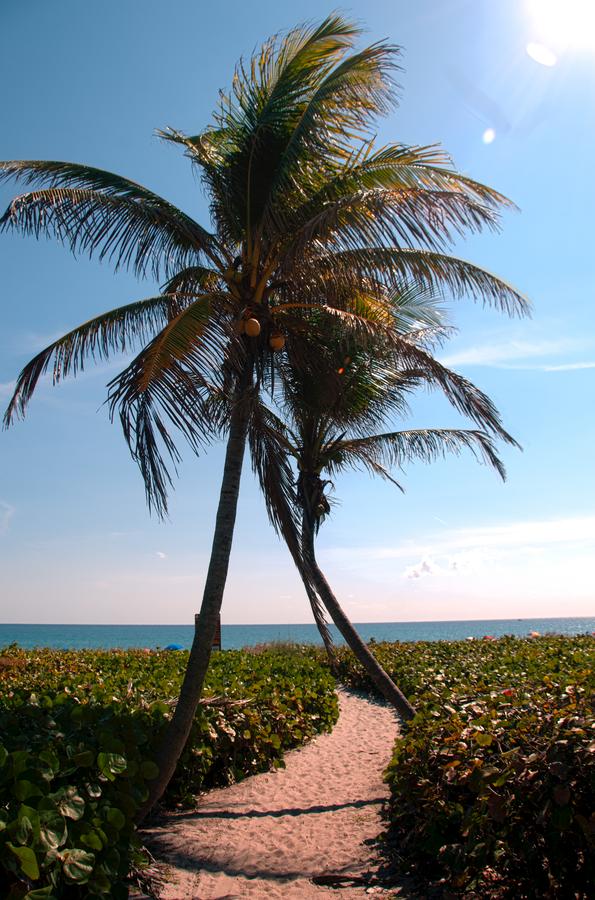 The Dover House Resort - thumb 23