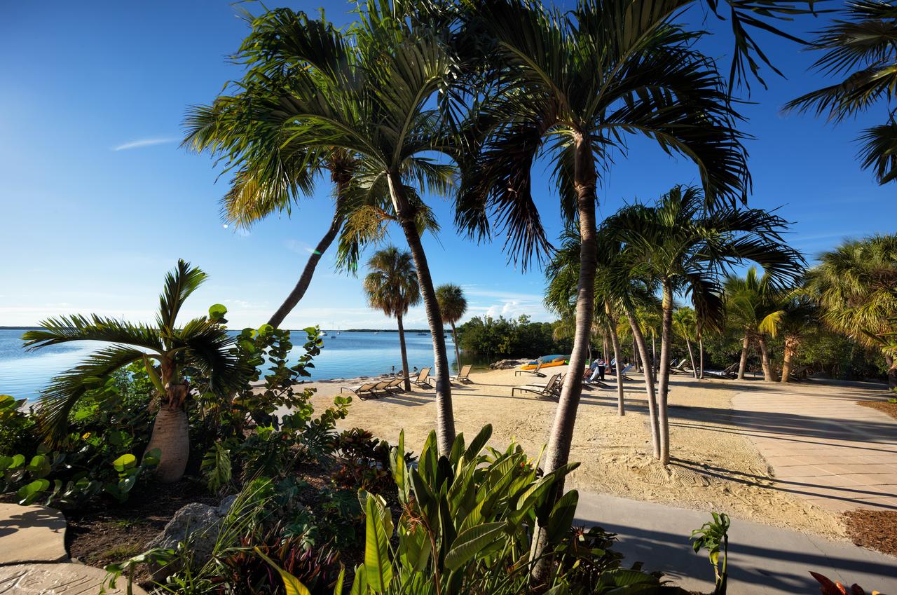 Hampton Inn Key Largo - thumb 1