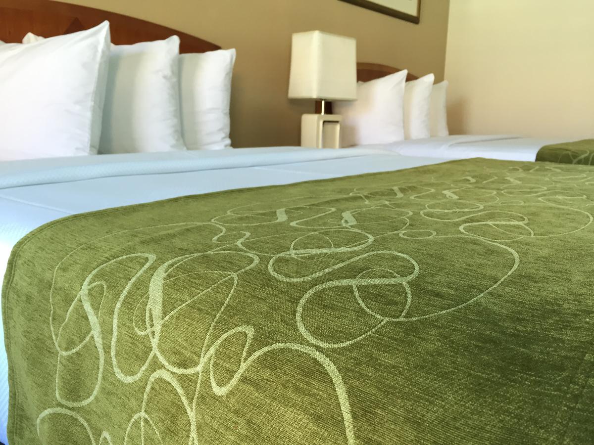 Seasons Florida Resort - thumb 12