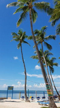 Aeropost Fl Accommodation New York